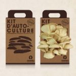 Bild von Kit d´auto-culture Pleurote