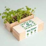 Bild von Mini potager d’herbes aromatiques