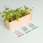 Bild von Mini potager d’herbes aromatiques