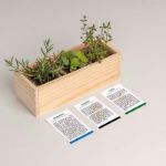 Bild von Mini potager méditerranéen