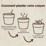 Bild von Crayon à planter Roquette
