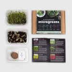 Bild von Kit d’autoculture de Microgreens