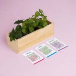 Bild von Kit autocoltivazioni Dolci