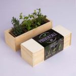 Bild von Kit autocoltivazioni Provenzale