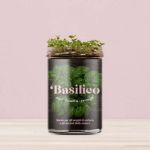 Bild von Orto da cucina di basilico