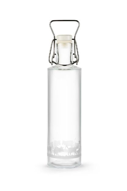 Bild von Trinkflasche Kühe 600 ml mit Bügelverschluss