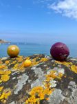 Bild von La Mariole - Boules de Pétanque - Simone