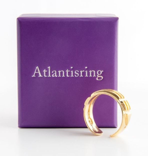 Bild von Atlantisring (Damengrösse) vergoldet