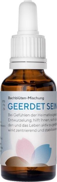 Bild von Bachblüten-Mischung Geerdet sein, 30 ml Tropfen von Phytodor