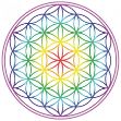Zeige Details für Aufkleber 14 cm  Blume des Lebens Regenbogen-Chakra transparent Bild von Aufkleber 14 cm  Blume des Lebens Regenbogen-Chakra transparent