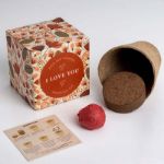 Bild von Say it with Flowers Growing Kit (I love you)