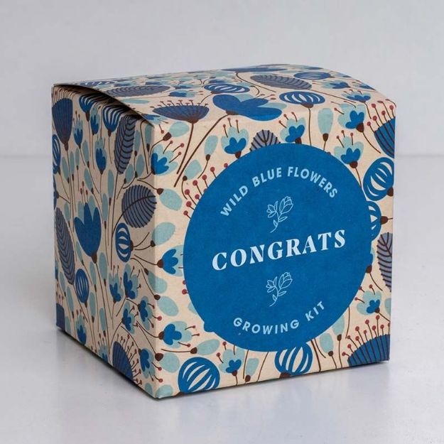 Bild von Say it with Flowers Growing Kit (Congrats)