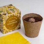Bild von Say it with Flowers Growing Kit (Happy Birthday)