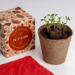 Bild von Kit d’Autoculture Dites-le avec des Fleurs (Je t’Aime)