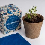 Bild von Kit d’Autoculture Dites-le avec des Fleurs (Felicitations)
