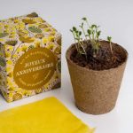 Bild von Kit d’Autoculture Dites-le avec des Fleurs (Joyeux Anniversaire)
