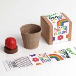 Bild von Grow this way – Kit d’Autoculture de Fleurs Mélangées