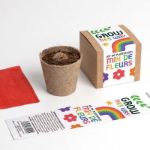 Bild von Grow this way – Kit d’Autoculture de Fleurs Mélangées