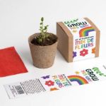 Bild von Grow this way – Kit d’Autoculture de Fleurs Mélangées