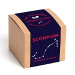 Bild von Les cultures zodiacales (Scorpion)