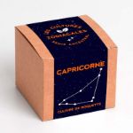Bild von Les cultures zodiacales (Capricorne)