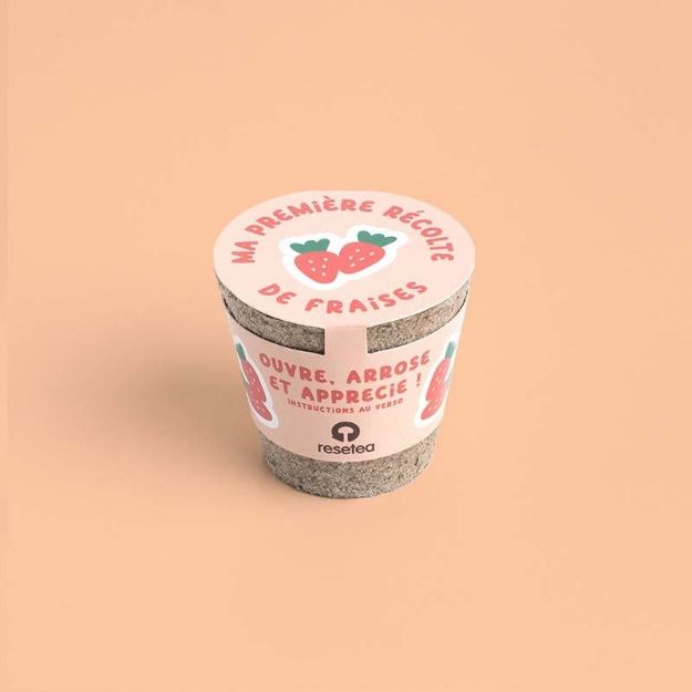 Bild von Ma première récolte de fraises