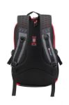 Bild von RUIGOR ACTIVE 29 Laptop Rucksack Rot