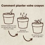 Bild von Set de 5 crayons à planter
