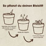 Bild von Pflanzbarer Bleistift Basilikum