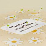 Bild von Plantable notebook with chamomille seeds