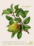Bild von Obstgarten Kalender 2026