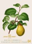 Bild von Obstgarten Kalender 2026