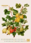 Bild von Obstgarten Kalender 2026