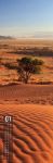 Bild von Afrika Vertikal Kalender 2026