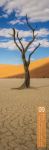Bild von Afrika Vertikal Kalender 2026