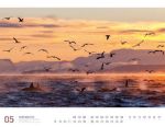 Bild von Hurtigruten - Unterwegs zwischen Bergen und Kirkenes Kalender 2026