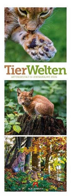 Bild von Tierwelten Triplet-Kalender 2026