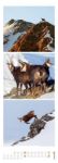 Bild von Tierwelten Triplet-Kalender 2026