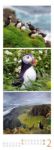 Bild von Tierwelten Triplet-Kalender 2026
