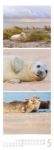 Bild von Tierwelten Triplet-Kalender 2026