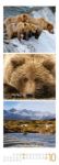 Bild von Tierwelten Triplet-Kalender 2026