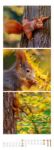 Bild von Tierwelten Triplet-Kalender 2026