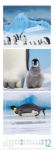 Bild von Tierwelten Triplet-Kalender 2026