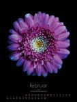 Bild von in bloom Kalender 2026