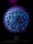 Bild von in bloom Kalender 2026