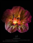 Bild von in bloom Kalender 2026
