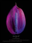 Bild von in bloom Kalender 2026