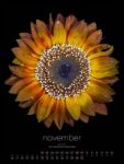 Bild von in bloom Kalender 2026
