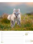 Bild von Skandinavien - Der Zauber des hohen Nordens - Wochenplaner Kalender 2026
