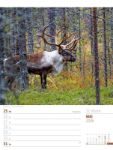 Bild von Skandinavien - Der Zauber des hohen Nordens - Wochenplaner Kalender 2026